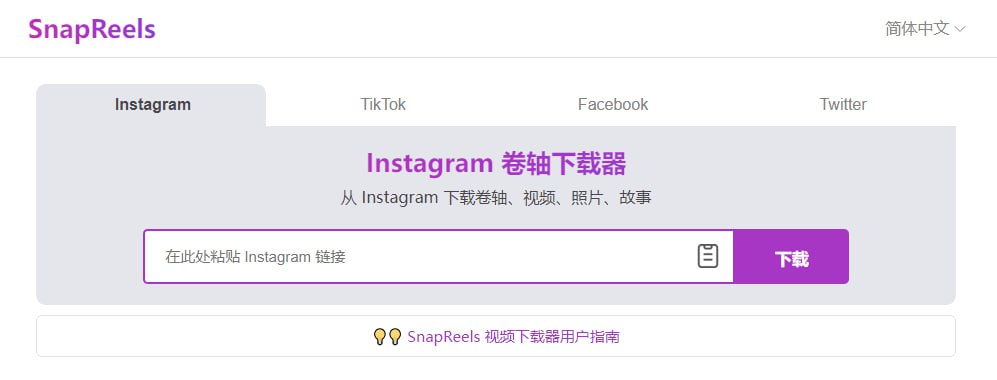 SnapReels-一个在线视频下载工具，支持几乎国外的视频