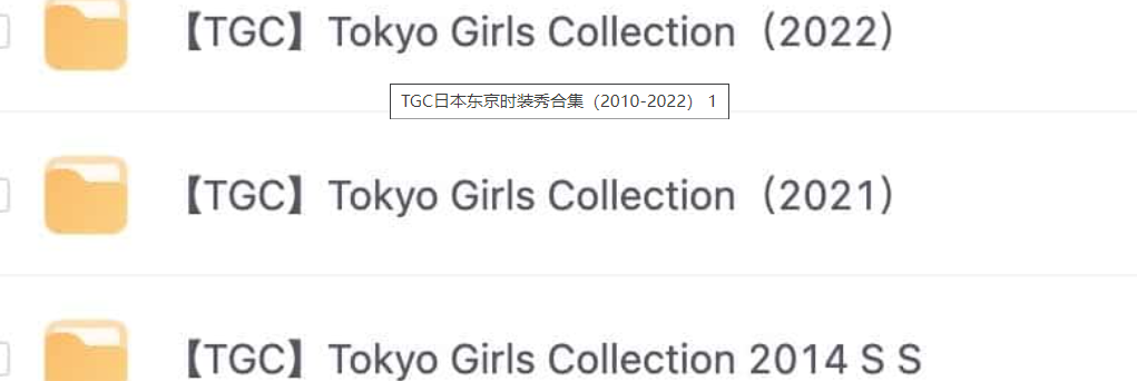 TGC日本东京时装秀合集（2010-2022）