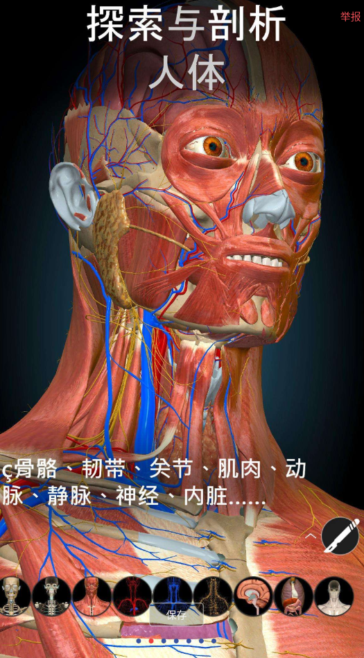 3D解剖学app实时探索6000+人体解剖结构