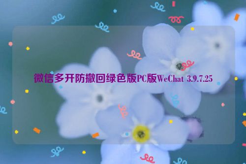 微信多开防撤回绿色版PC版WeChat 3.9.7.25