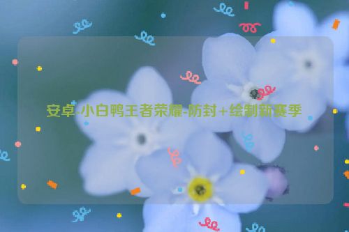 安卓-小白鸭王者荣耀-防封+绘制新赛季