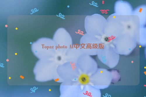 Topaz photo AI中文高级版